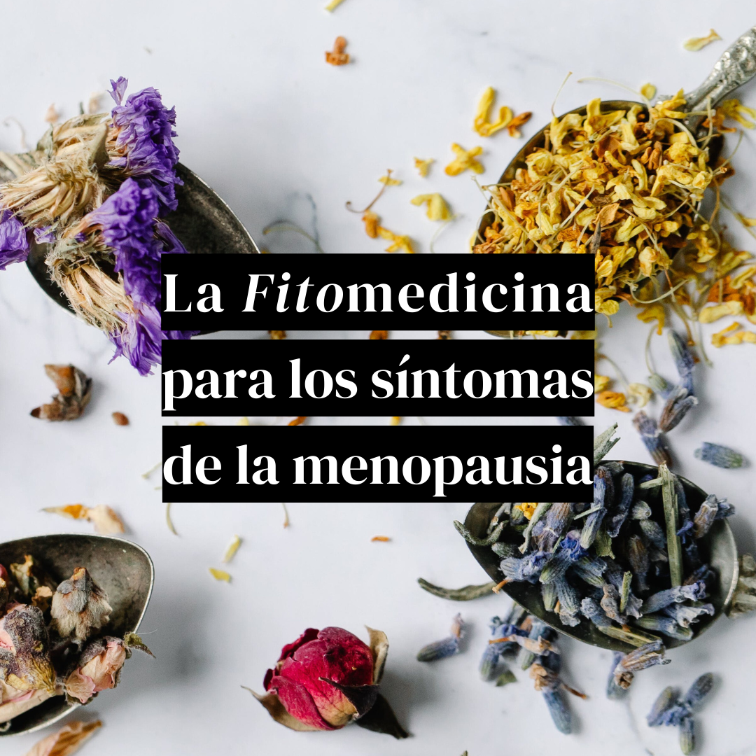 Fitomedicina, remedios naturales para los síntomas de la menopausia | Remedios para los síntomas de la menopausia | Womanhood